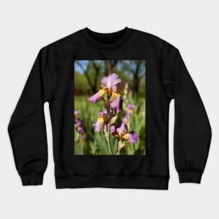 Lavender Irises Crewneck Sweatshirt